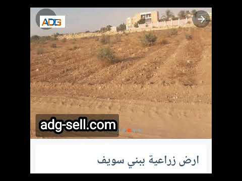 ارض زراعيه ببني سويف للبيع علي تطبيق أدچ سيل بيع اشتري كل حاجه