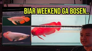 SO THAT WEEKENDS ARE NOT BORING...