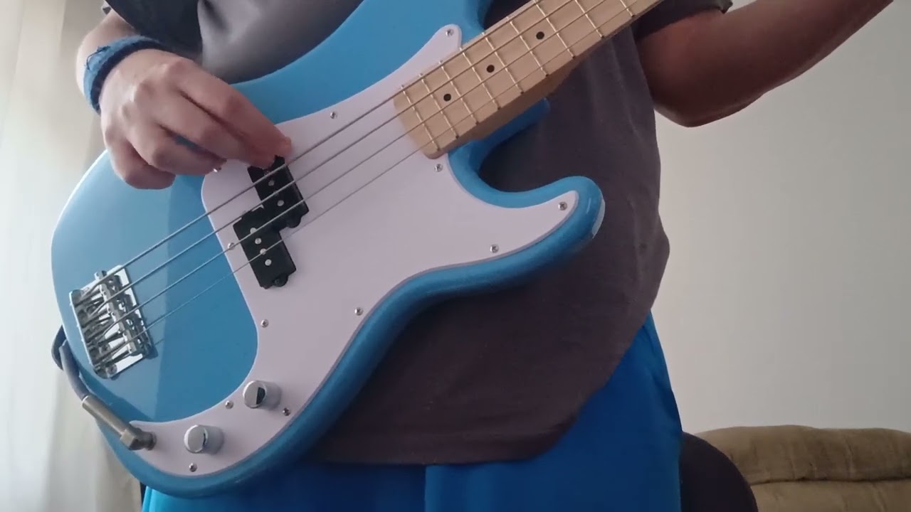 Creedence Clearwater Revival - Fortunate Son (bass cover)