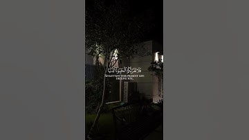 قرآن كريم/إن وعد الله حق/مقطع قصير/تلاوة خاشعة/راحة نفسية😌🤍🤍