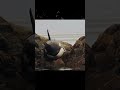 Orca Steckte In Den Felsen Fest Hat Er überlebt Shorts