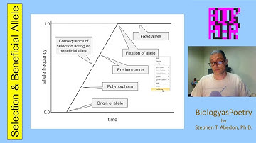 Selection and Beneficial Allele