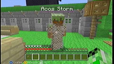 Minecraft:Capture The Flag-Game 1