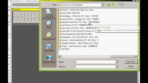 Cwningen Player - Visual Basic 2008