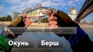 🇷🇺 Река Москва, Россия. Стритфишинг в черте города. Берш и окунь на джиг и отводной поводок. 2017/08