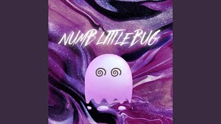 Numb Little Bug - Rain Paris