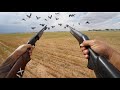 Pump Action .410 Pigeon Hunt! I Hate Pump Shotguns...