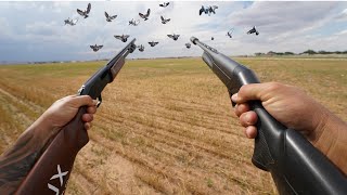 Pump Action .410 Pigeon Hunt! I Hate Pump Shotguns...