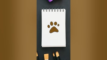 Paw Print Drawing
