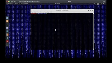 Automate network scanning with bash and python scripting