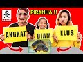 Tantangan elus angkat diam masukin tangan ke aquarium piranha 