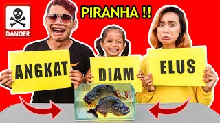 Tantangan Elus Angkat Diam Masukin Tangan Ke Aquarium Piranha 