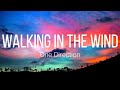 One Direction Walking In The Wind Lyrics mp3
