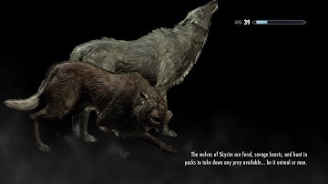 Skyrim Remastered- Dawnguard Walkthrough Part 7