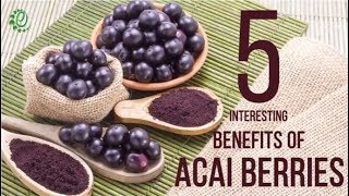 5 Interesting Benefits Of Acai Berries Organic Facts