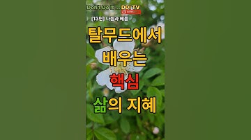 탈무드 나눔과 베품  #탈무드 #인생지혜 #유대인교육 #마음공부 #명언모음 #삶의교훈 #지혜로운삶 #유대인의지혜 #인문학이야기 #생각의힘 #유튜브명언 #따뜻한이야기 #마음성장