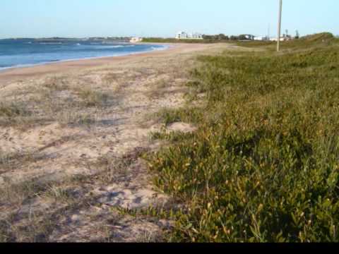 Coastal Systems: Dune Erosion and Management