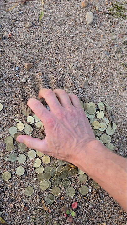 Mega lucky finding in 2024