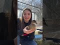 5 Reasons NOT To Get Pet Ducks
