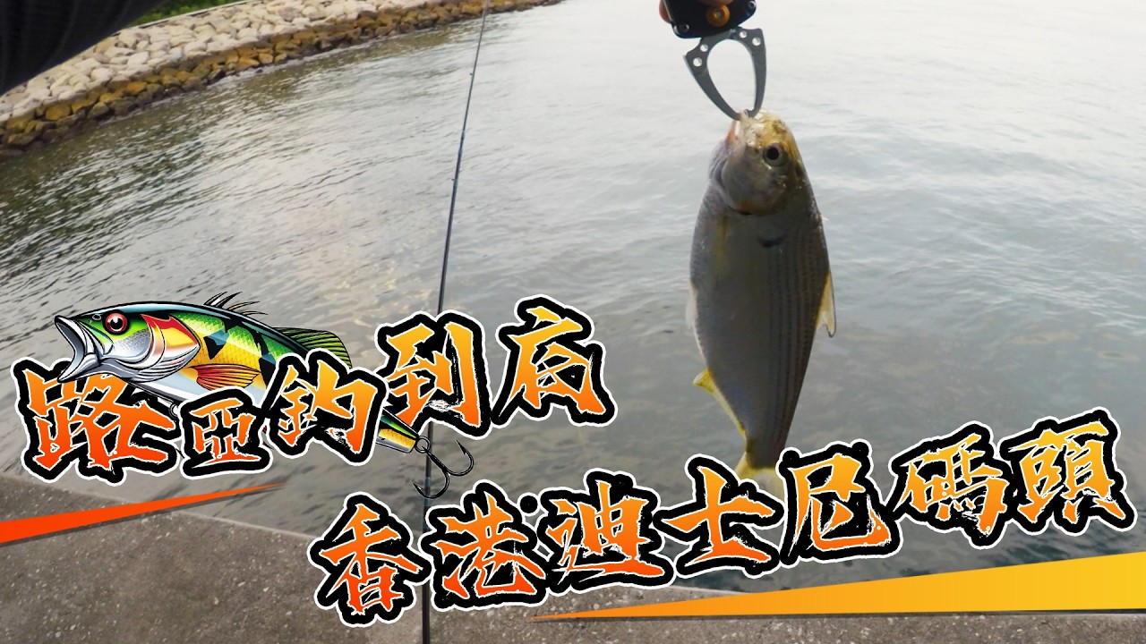 香港迪士尼碼頭｜#路亞釣到底｜#路亞｜#假餌｜#釣魚｜#自由釣組｜#根釣｜#香港岸釣｜#lurefishing｜#bfsfishing｜#rockfishing