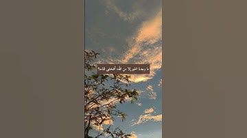 إِنَّ الْأَبْرَارَ لَفِي نَعِيمٍ…|| سورة المطففين