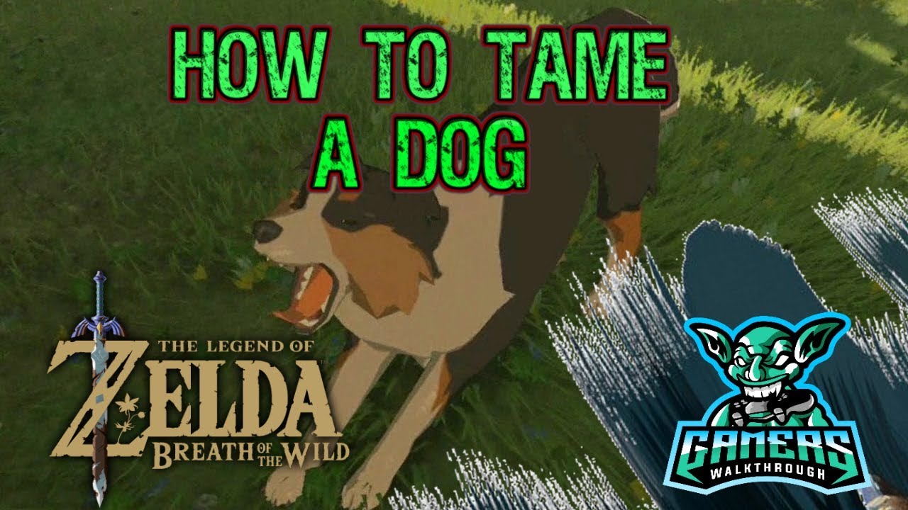 Legend Of Zelda Breath Of The Wild How To Tame A Dog - Youtube