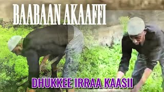Akaaffi Dhukkee Irraa Kaasee
