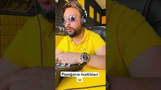 Papağanların Özellikleri Ilarınmehmet Ikra