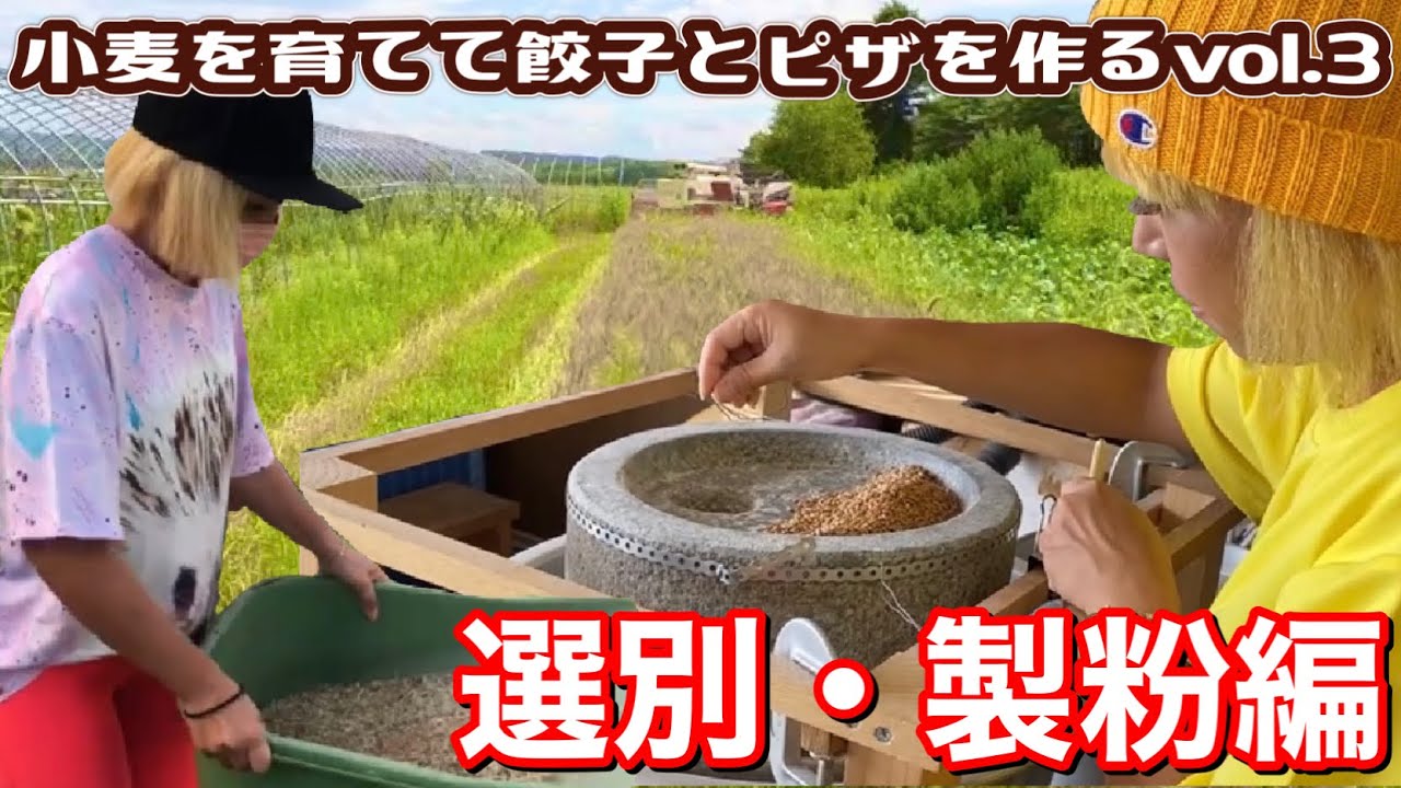 【農業女子】小麦の選別・製粉！ー餃子&ピザ作り第3弾ー