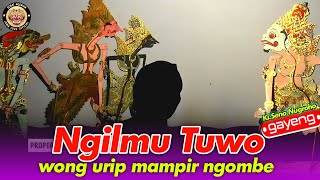 ORA NONTON RUGI ‼️ JEBOL BUMI WONG URIP MAMPIR NGOMBE | WAYANG KULIT KI SENO NUGROHO