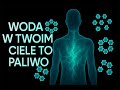 Woda w Twoim ciele nie jest wodą. To Twoje paliwo biologiczne.