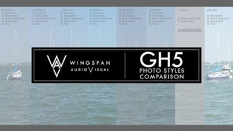 GH5 Photo Style Test - 4K @ 60fps - 8Bit