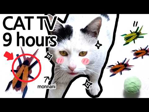 [9Hours] Bug &InsectToyVideos for Cats to Watch Birds,Bugs,Nature Sounds / CatAttentionVideo (3Mins)