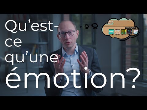 Vidéo: Qu'est-ce que l'émotion et décrire les théories de l'émotion?