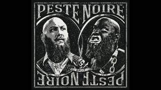 Video thumbnail of "Peste Noire - Raid Éclair"