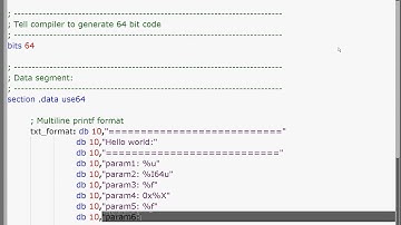 Win64 Basic Hello World NASM MINGW64 GoLink