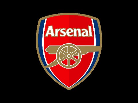 We Love You Arsenal!