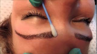 Permanent Make Up Labina Romania Ellisse Academy Youtube