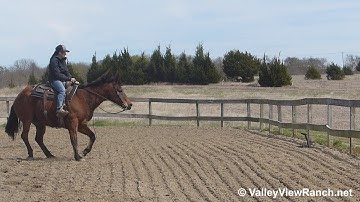 Colonel Peponita Flo - working the flag! - ValleyViewRanch.net