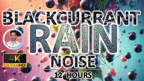 Soothing Blackcurrant Rain Noise | 12 Hours BLACK SCREEN | Study, Sleep, Tinnitus Relief & Focus