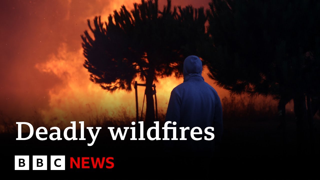 Deadly Mediterranean wildfires kill more than 40 – BBC News