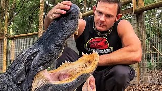 Feeding Big Mac &amp; Bella, sanctuary vlog!