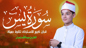سورة يس -  (كاملة) تلاوة تريح القلب وتريح الضمير - القارئ عبد الله شعبان