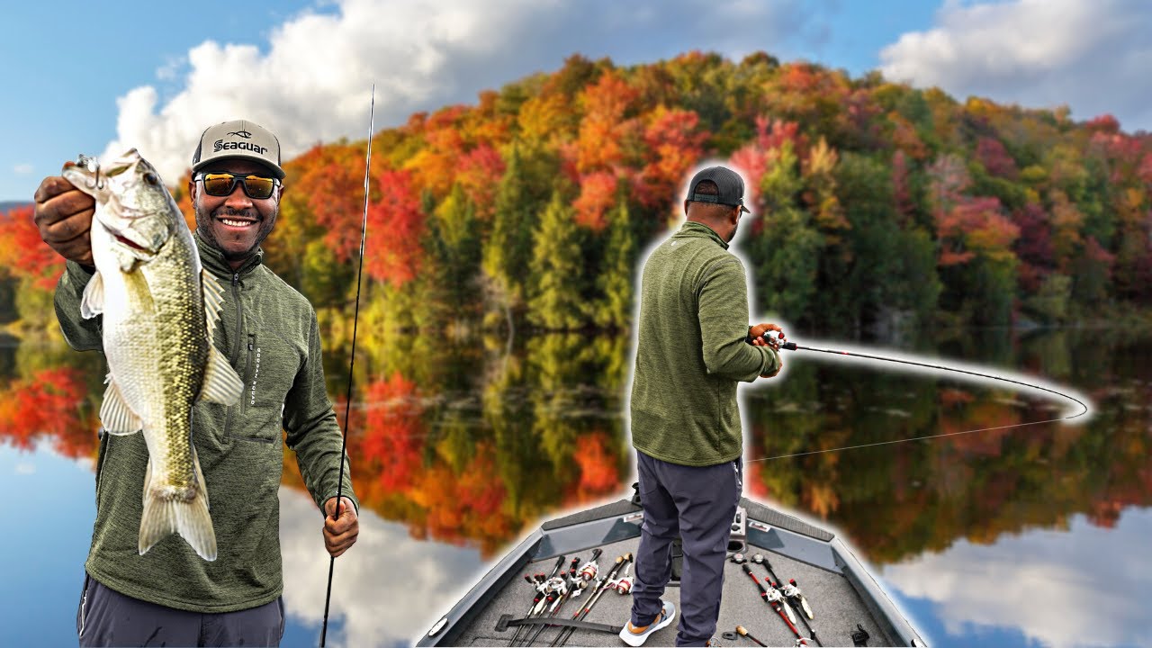 Jerkbait Fishing the FALL TRANSITION for Finicky Bass!!