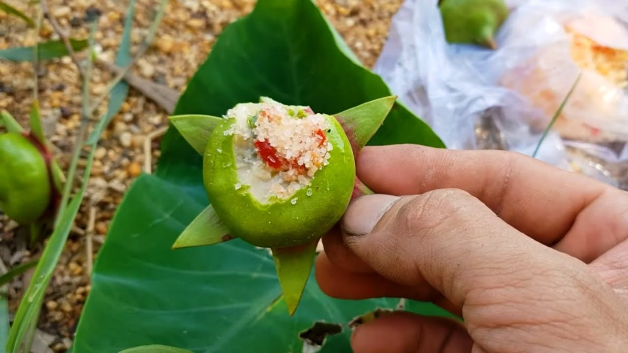 Trái Bần Chấm Muối ỚT| Chili salt|Cú Đấm Thép TV - YouTube