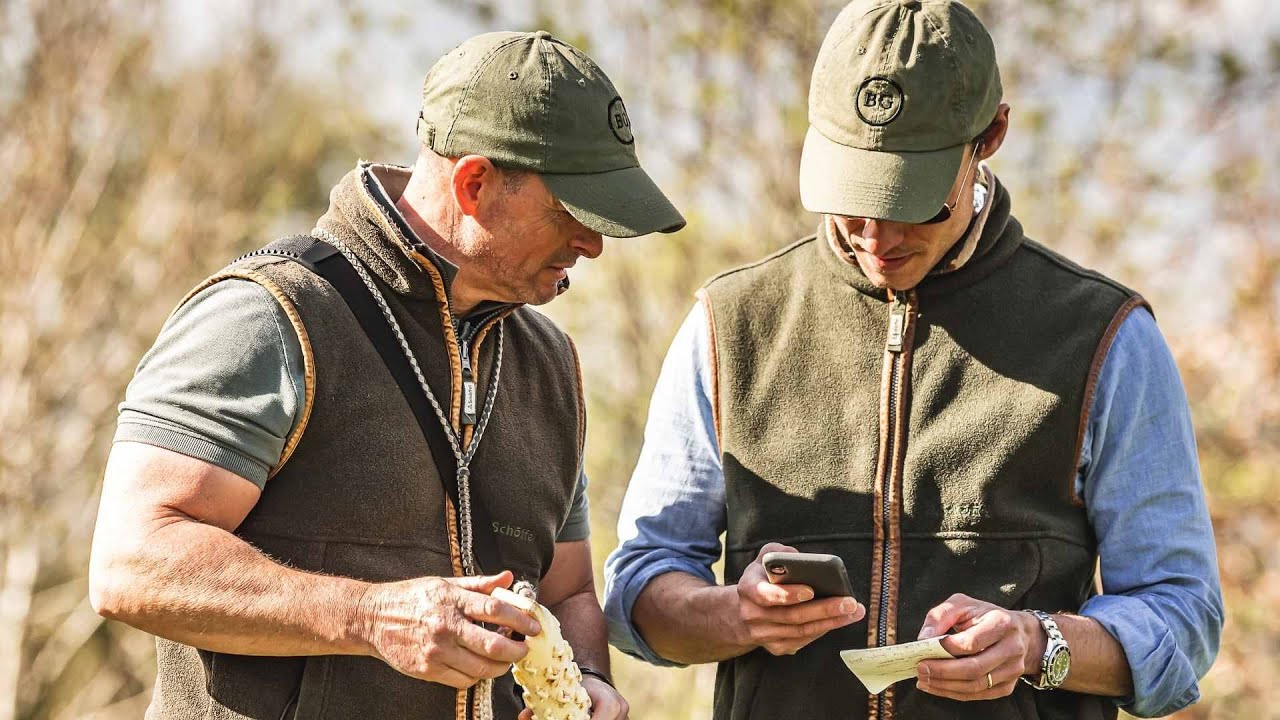 How to train with Gundog App YouTube