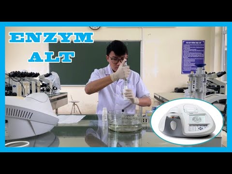 Video: Làm thế nào để bạn đo lường tốc độ hoạt động của enzyme?