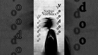 Norbiax-Voodoo #music #shortvideo #electronicmusic #love #youtubeshorts #techno #edm #dj #trance