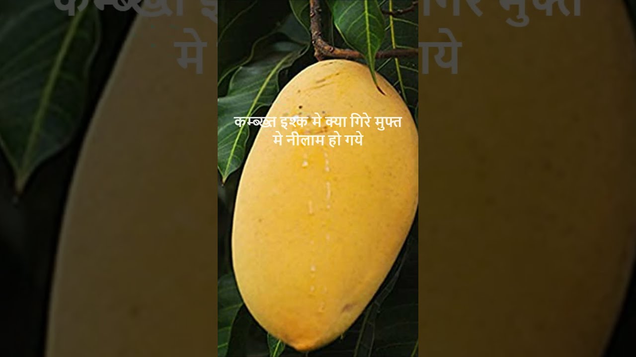kar dua ki dil rah paye
