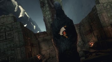 Thanks, Trico.